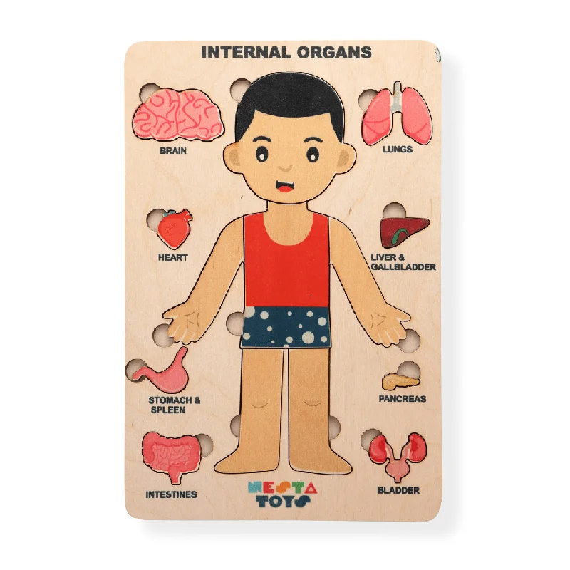 Wooden teeter - totter toys for social play​ Human Anatomy | Internal Organs Puzzle Wooden Toy