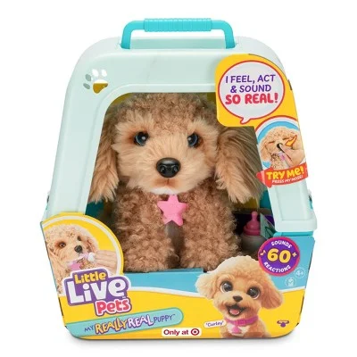 Dead Rising Frank West Action Figures Open Box - Little Live Pets My Really Real Puppy - Curley The Cavoodle Dead Rising Frank West Action Figures Open Box - Little Live Pets My Really Real Puppy - Curley The Cavoodle
