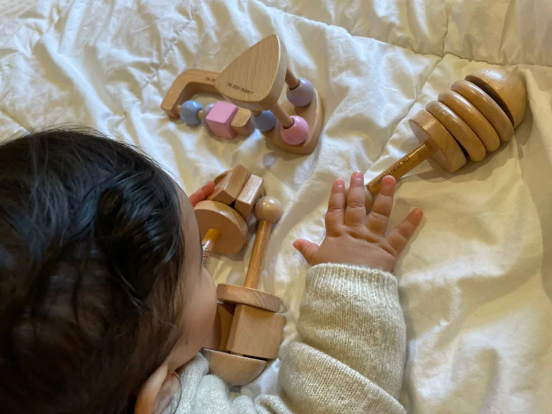 Wooden stacking toys for fine motor skills​ Ring Around Rattle