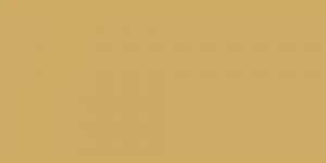 Glass painting supplies for adding color to glass surfaces​ W/C - Raw Umber LUKAS