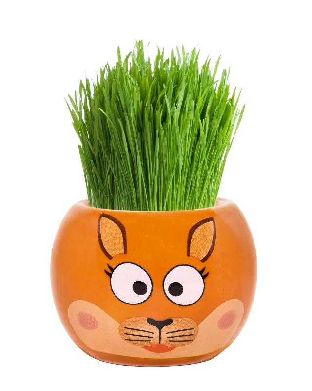 Educational toys for teaching cloud computing concepts​ Grass Hair Kits Aussie Animal Kangaroo