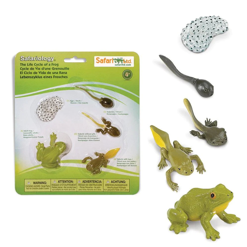 Educational toys for teaching forestry concepts​ Safari Ltd Life Cycle of a Frog