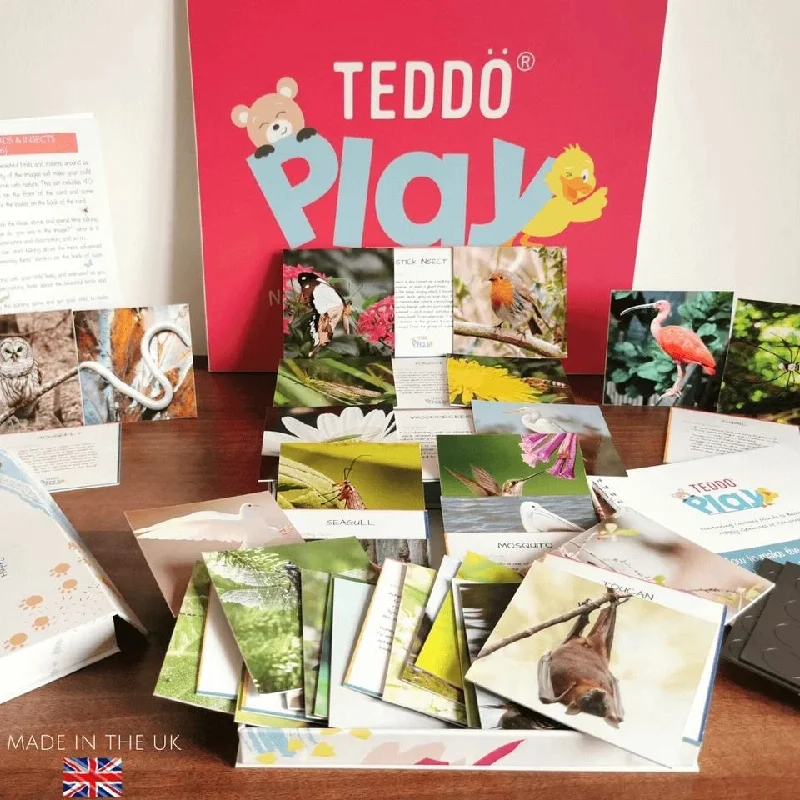 Educational toys for teaching online safety to kids​ TEDDO PLAY 40 LEARNING CARDS - BEAUTIFUL BIRDS & INSECTS (FACTS EDITION)