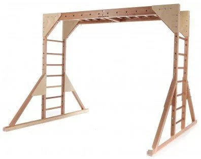 Outdoor toys for twins to enjoy together​ Wooden Ladder Climbing Frame