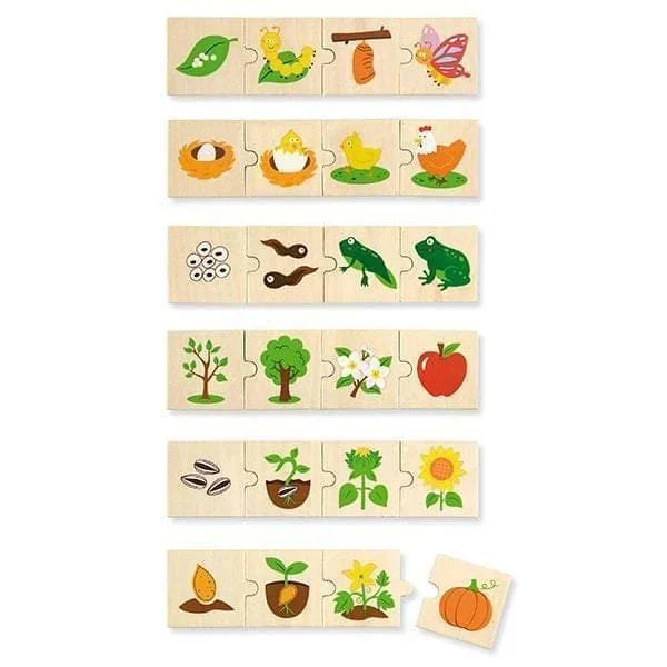 Educational toys for teaching sociology basics​ Wooden Life Cycle Puzzle
