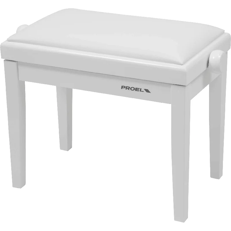 Washburn acoustic guitars for budget - friendly options Dexibell Proel Height-Adjustable Wooden Bench for Pianos & Organs (Polished White) Washburn acoustic guitars for budget - friendly options Dexibell Proel Height-Adjustable Wooden Bench for Pianos & Organs (Polished White)