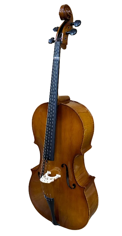 Harps for angelic melodies in classical ensembles Erik Wagner Cello, Model P330CF - Local Pick Up Harps for angelic melodies in classical ensembles Erik Wagner Cello, Model P330CF - Local Pick Up
