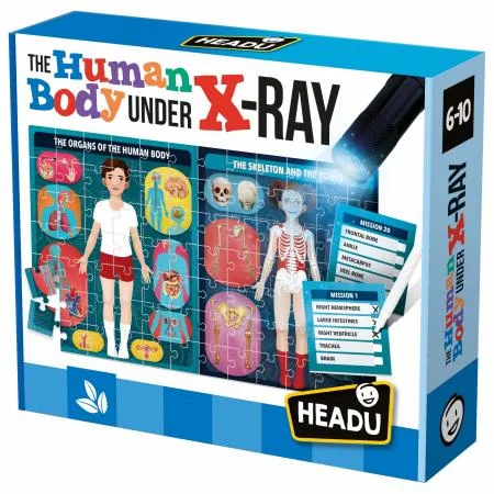 Puzzle - based logic games for brain training​ The Human Body Under X-Ray